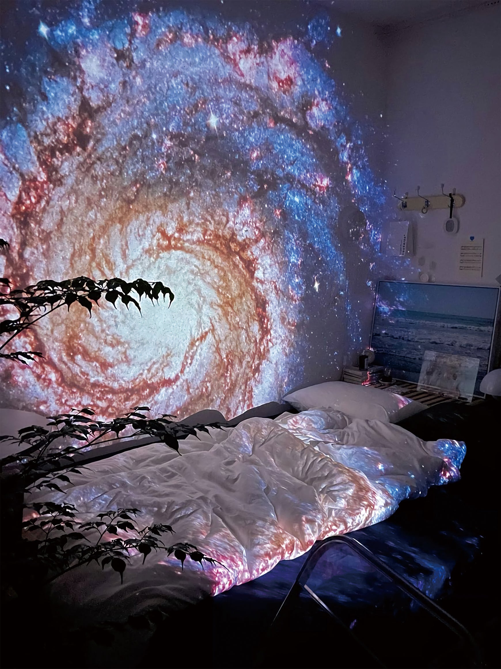 Gorgeous Nebula Galaxy Projector Discs Set (6 Discs)