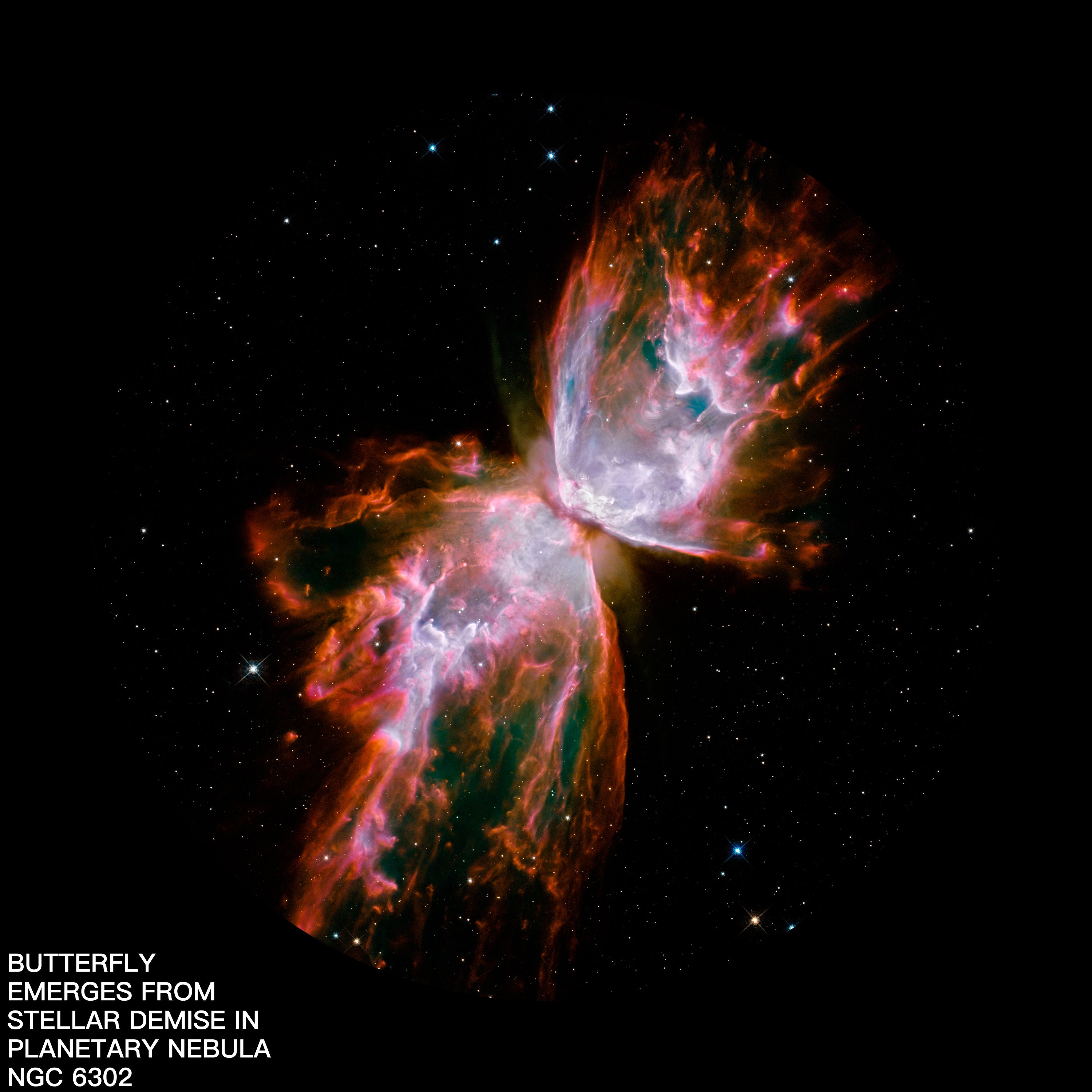 POCOCO Galaxy Projector disc - Pisces