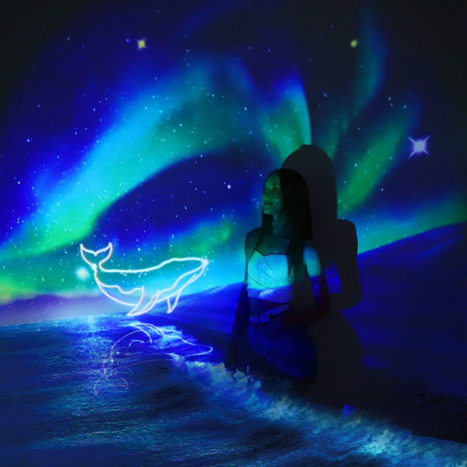 Shine With POCOCO Disc Aurora Whales